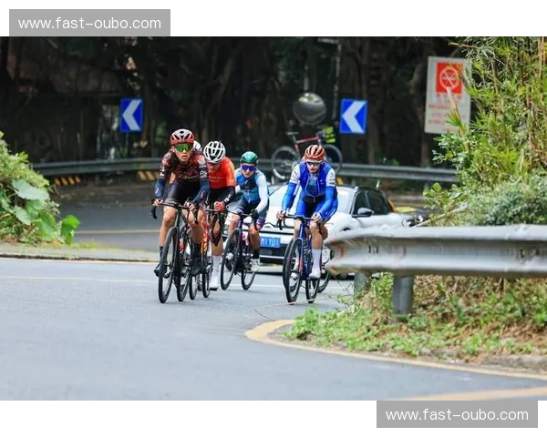 集锦公路自行车：速度与风景的完美合奏